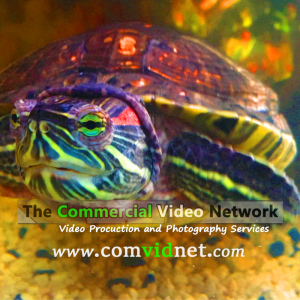 youtube iconcheech.png &nbsp;